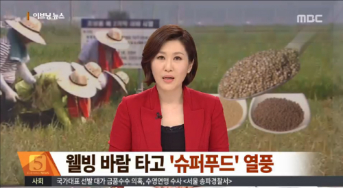 뇌 건강 돕는 슈퍼푸드, 연어는 OK 참치는 NO 반전