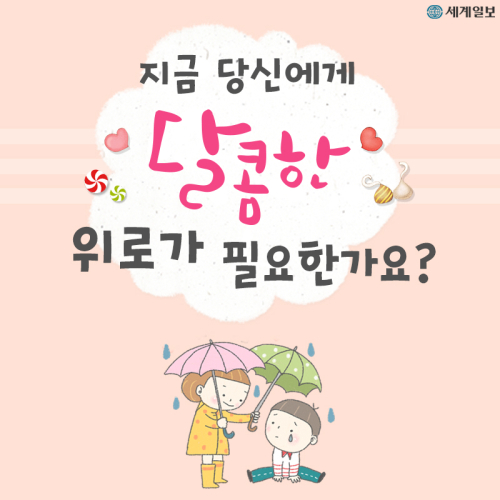 [카드뉴스] 익명이 건네는 달콤한 위로