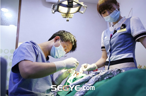 임플란트 수명, 정확한 진단과 시술 후 관리가 결정한다