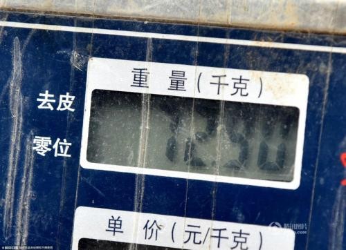 신발신고 이미지