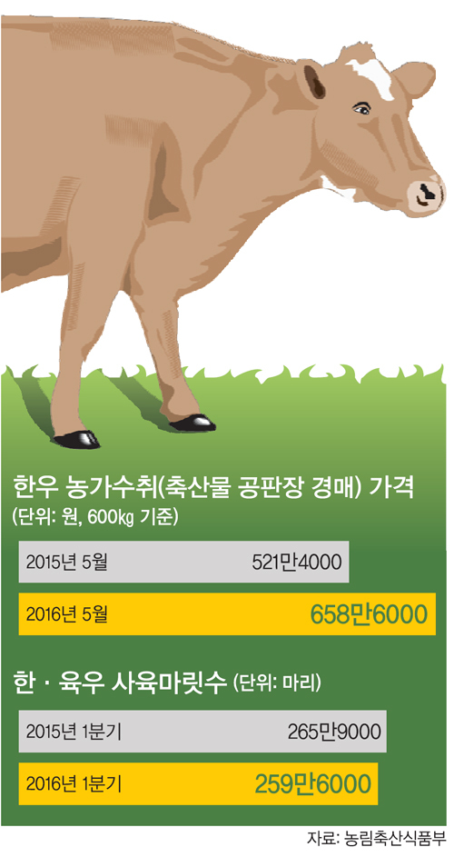 고삐 풀린 한우값… 겁나서 못 먹겠소