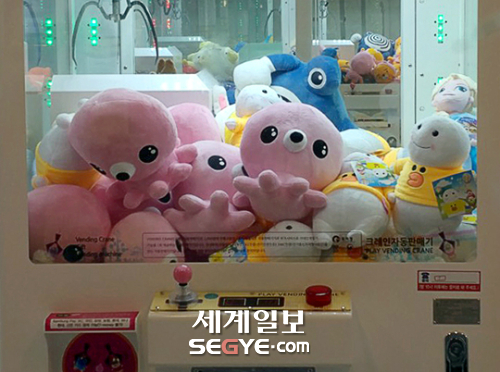 [김기자의 현장+] 혼족 新놀이터 뽑기방 그러나 현실은 씁쓸