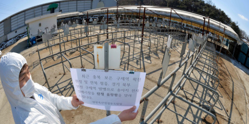 폐쇄된 우시장