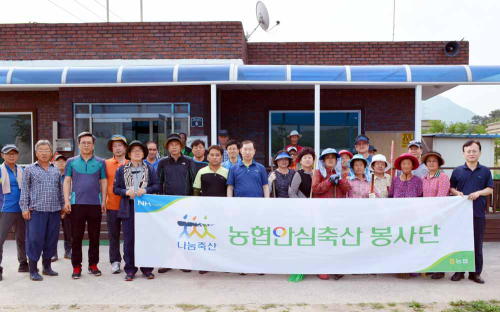 농협안심축산, 포천 자매결연 마을 찾아 구슬땀
