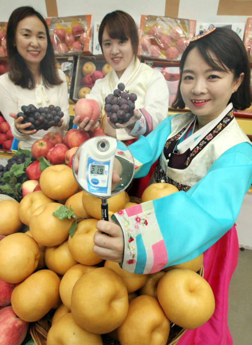 농협유통, 추석 과일세트! 당도가 최고에요~