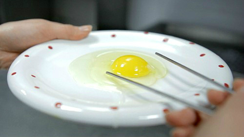 조주연 한국맥도날드 대표 식품 안전을 자사의 가장 중요한 가치로 여기며 실천