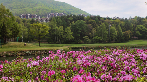 용평리조트, 발왕산 관광브랜드화 … 세계인 불러 모은다