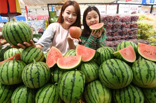 [포토] 롯데마트, 미니수박 출시