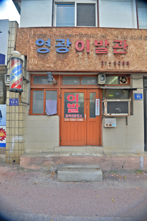 [여행] 밟히고 또 밟혀도… 묵묵히 견디다