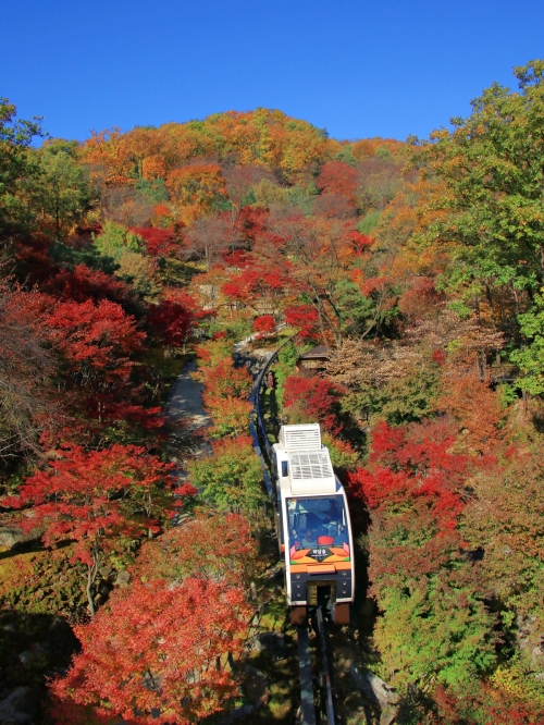 [레저 단신] 대마도 시라타케 여행상품 판매 外