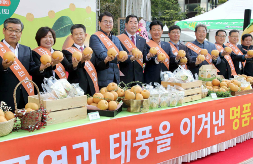 한국배연합회, 2018년 제5회 배데이 행사 개최