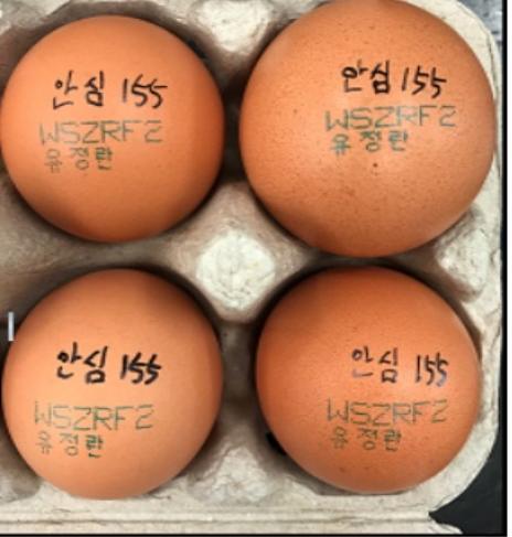 제주 친환경농장서 항생제 검출 계란 유통… 4200개 회수 조치