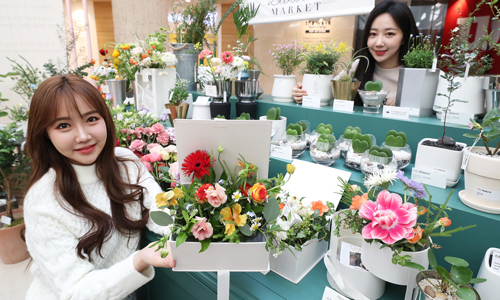 “화분 하나 장만하세요”