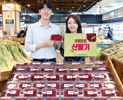[포토] 신선한 산딸기 하나로마트에서 만나세요
