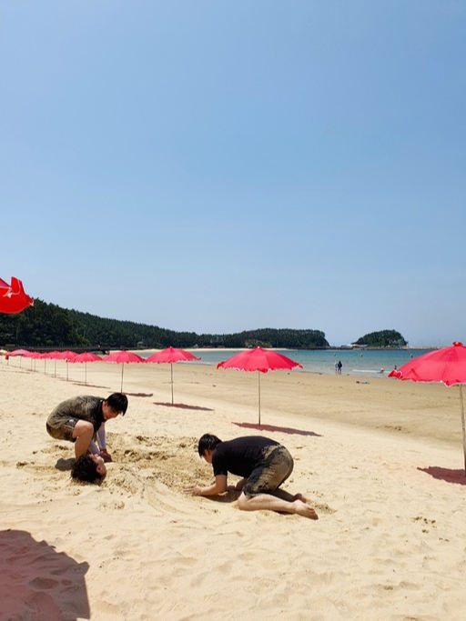여름바다가 부른다… 만리포 갈까 천리포 갈까 [최현태 기자의 여행홀릭]