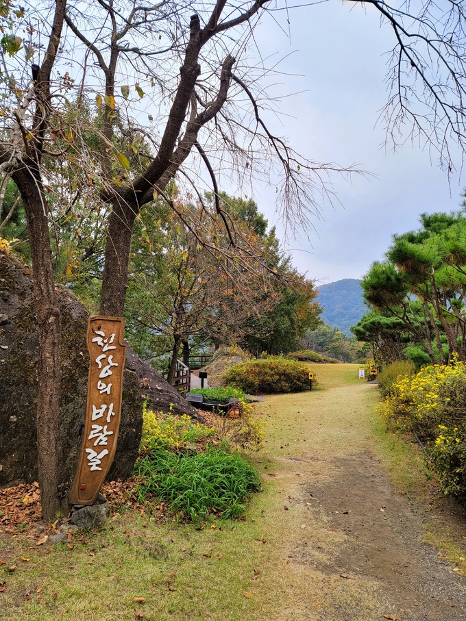 야생화 만발하는 옥천 ‘천상의 정원’ 가보셨나요 [최현태 기자의 여행홀릭]