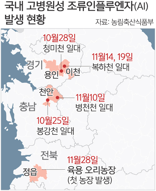 4년 전 악몽 재현되나… 정읍 오리농장서 올 첫 고병원성 AI [뉴스 투데이]