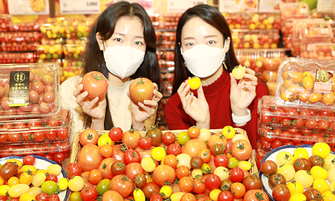 롯데마트 “맘에 드는 토마토 골라 드세요”
