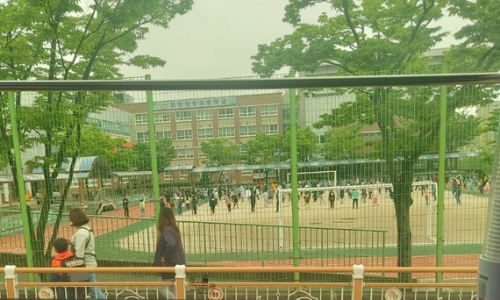 포항 원동초등학교 교사, 코로나19 확진… 전교생 검체 나서