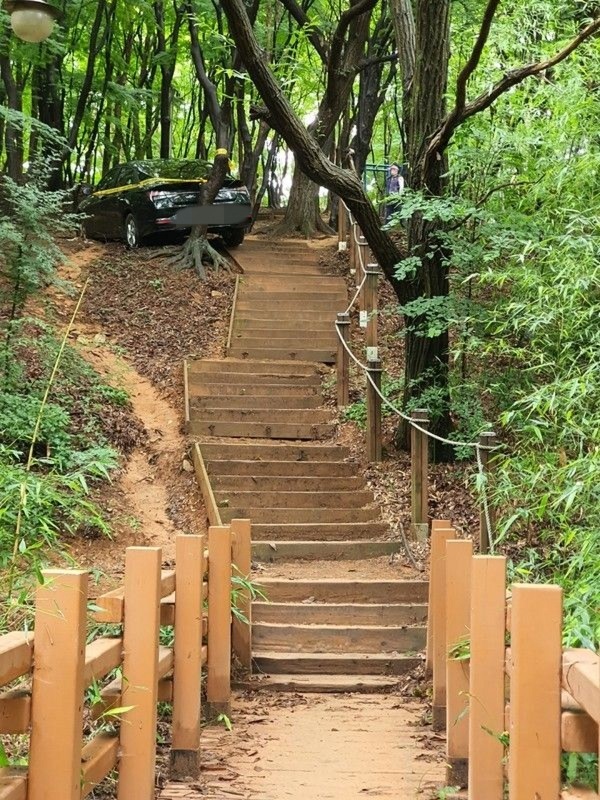 입건은 면했지만 전주 건지산 등산로에 웬 승용차 한 대가…어떻게 올라갔나