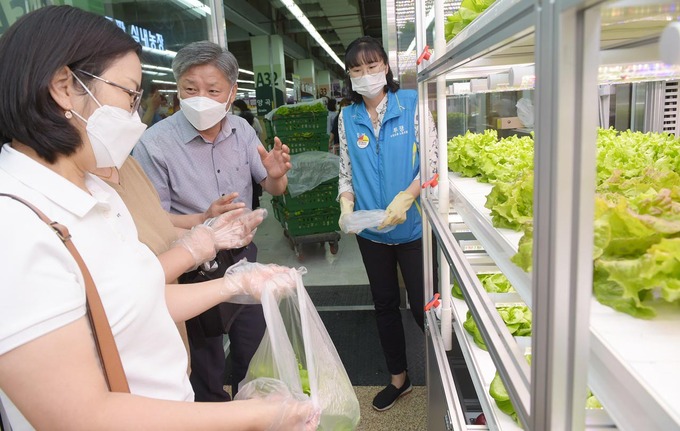 하나로마트 창동점, ‘스마트 팜’ 수확 채소 어린이집에 증정