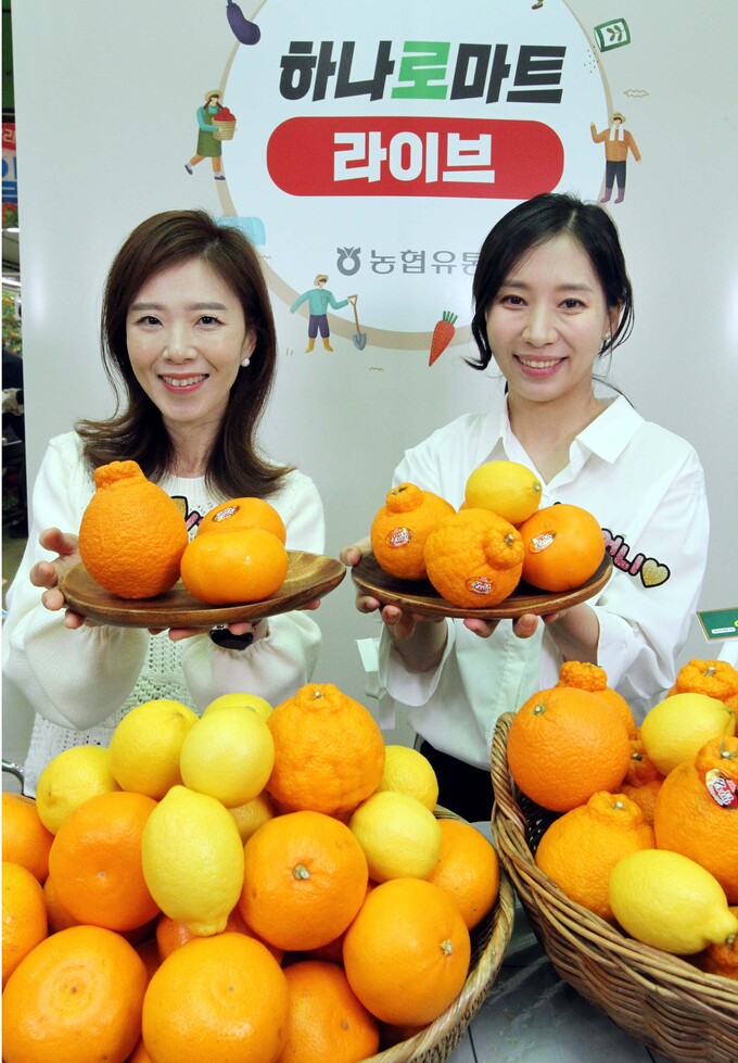 ‘청정 제주’ 농산물 라이브커머스로 편하게 쇼핑하세요