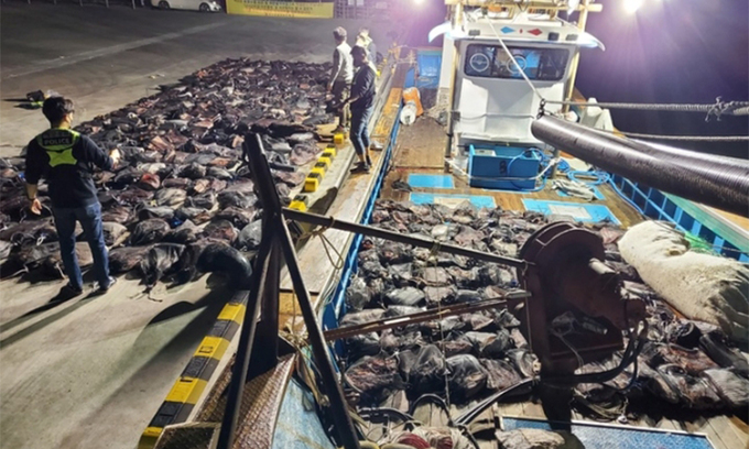어창 열어보니 고래고기 6t… 경찰, 불법 포획 일당 검거