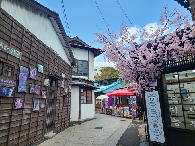 포항시, 동백꽃 핀 구룡포’ 체류형 관광지로 본격 조성