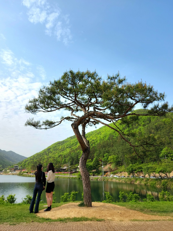 오성제·아원고택… ‘BTS 성지’ 따라가는 완주 여행 [최현태 기자의 여행홀릭]