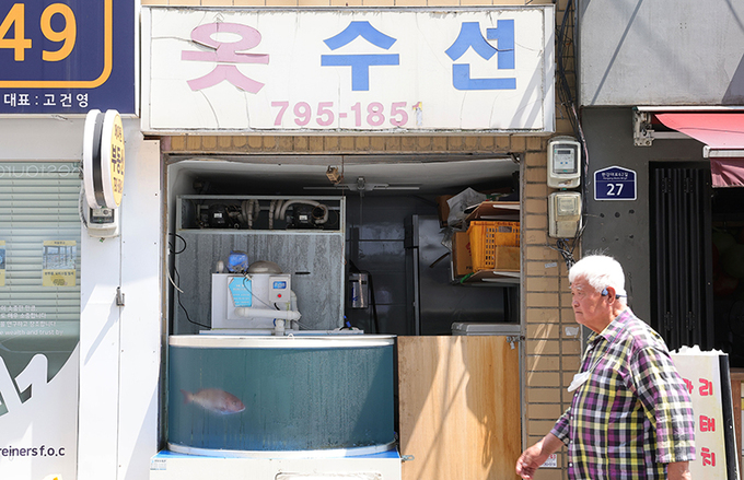 [포토에세이] 옷 수선 가게와 참돔 ‘생업 공존’