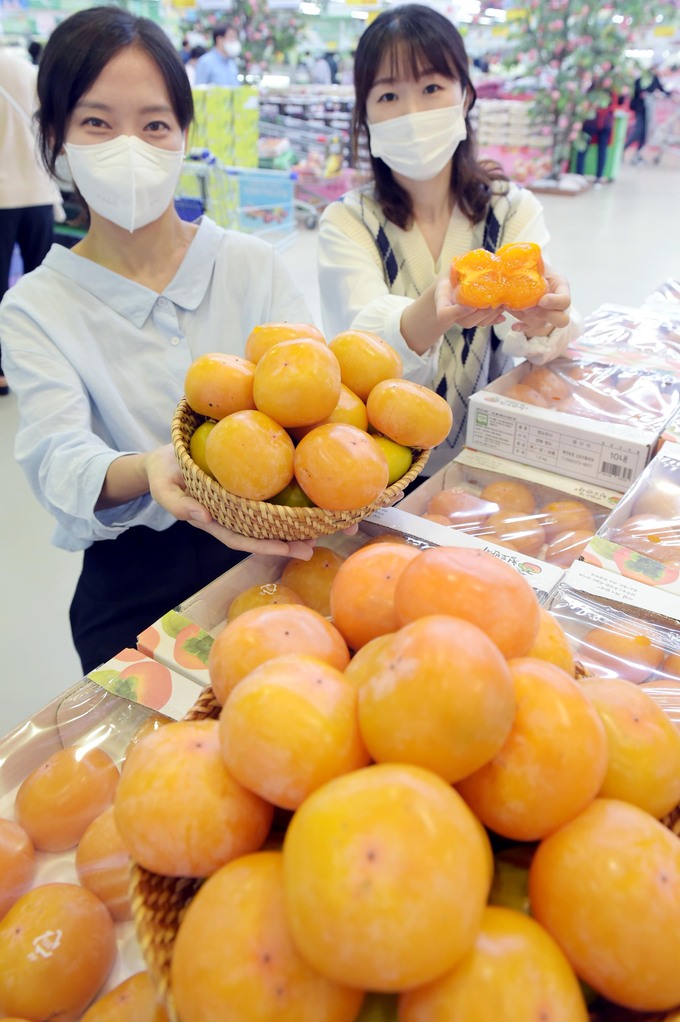 [포토] 가을에 달콤한 청도 반시 한 입 어떠세요?