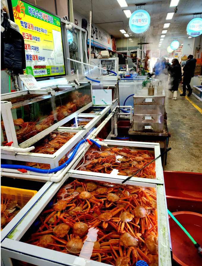 겨울이라 더 맛있는 울진 별미 여행 [최현태 기자의 여행홀릭]