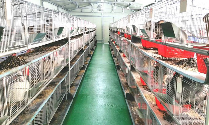 집이든 산이든… ‘토끼의 삶’ 만만치 않네요 [연중기획-지구의 미래]