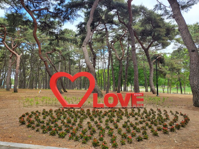 “공정캠핑이요?”… 충북 영동 송호관광지 캠핑장서 지역과 함께 한다