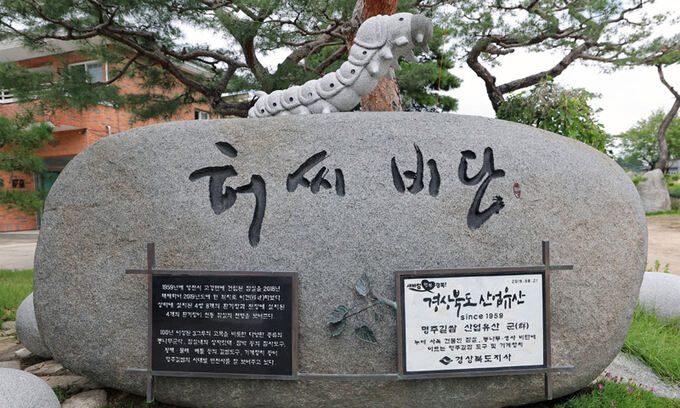 옛 방식 그대로 ‘타다닥탁’… 전통 명주의 脈을 잇다 [밀착취재]