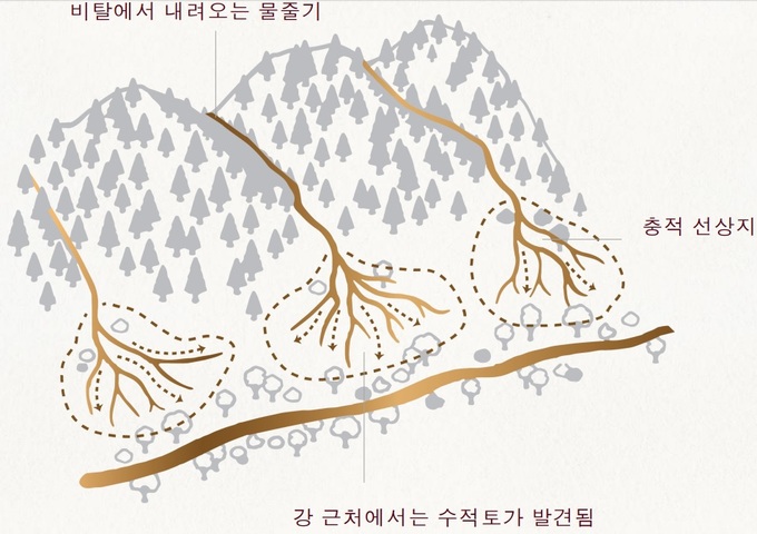 보르도 vs 나파 ‘파리의 심판’은 불공정 대회였다? [최현태 기자의 와인홀릭]
