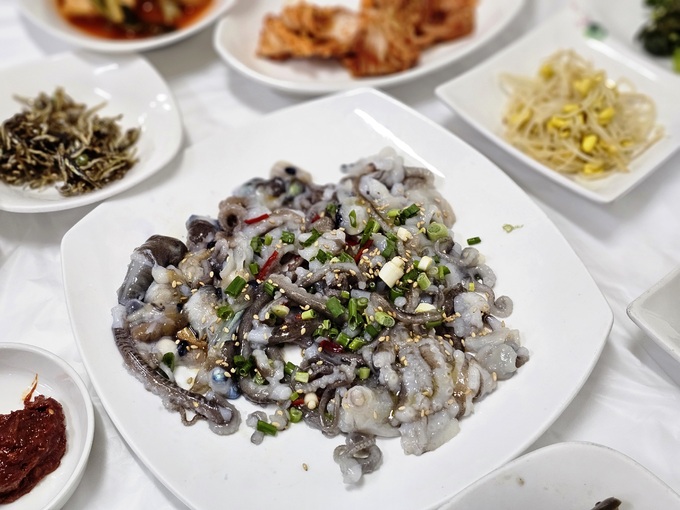 청정갯벌과 황토가 키우는 무안뻘낙지 먹어봤나요 [최현태 기자의 여행홀릭]