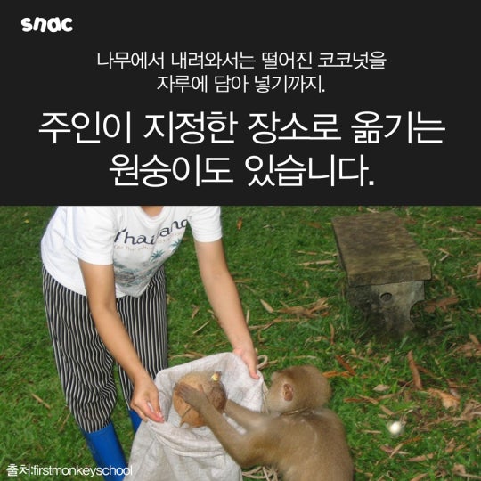 코코넛 워터의 비밀 ..................JPG | 인스티즈