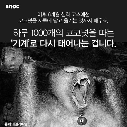 코코넛 워터의 비밀 ..................JPG | 인스티즈