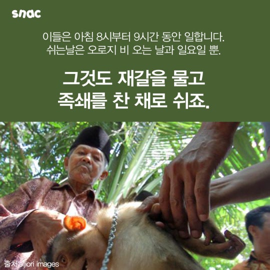 코코넛 워터의 비밀 ..................JPG | 인스티즈