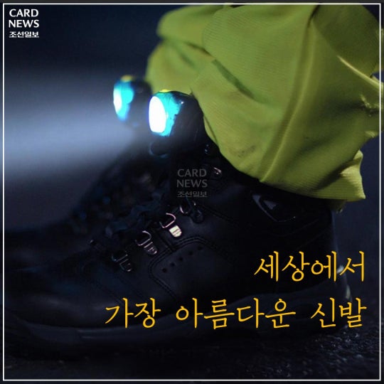 [카드뉴스] 세상에서 가장 아름다운 신발 - 인스티즈(instiz) 기사 [카드뉴스] 세상에서 가장 아름다운 신발