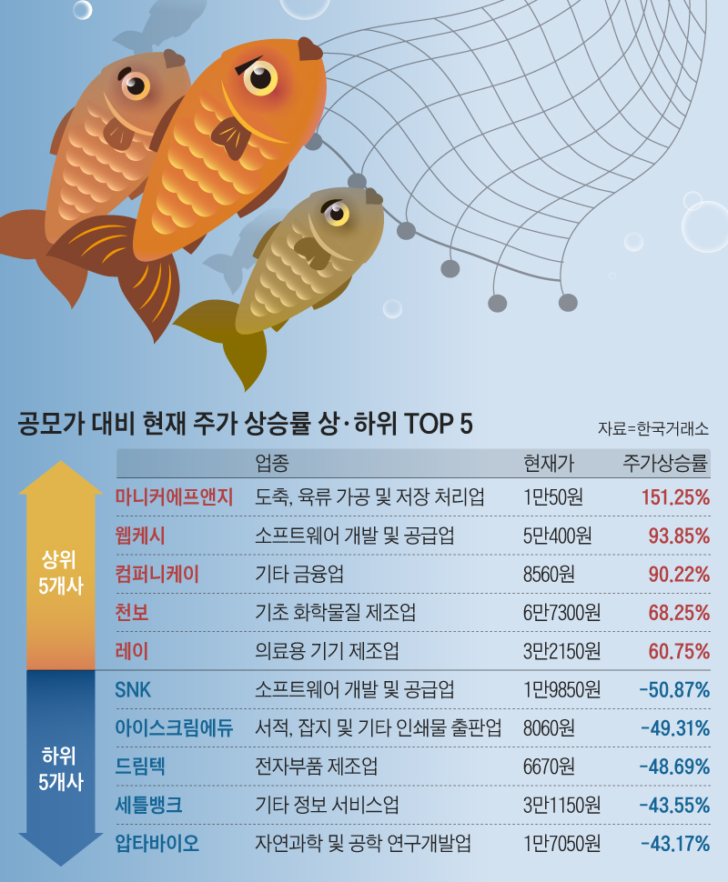 大魚 몰려온다, 그물 던져라… 연말 IPO시장 출렁