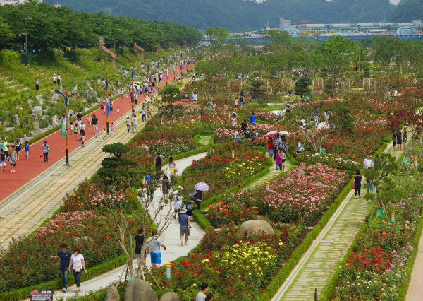 코로나 때문에 못 살겠네 막국수와 닭갈비도 울었다