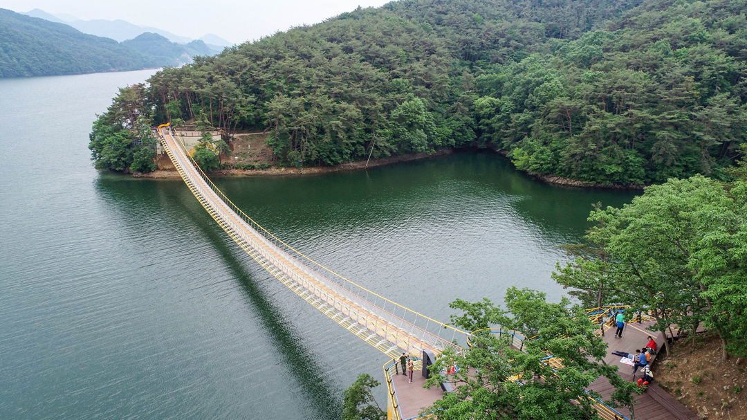 장성호 수변길 명물 황금빛 출렁다리 오늘 개통…제2 출렁다리