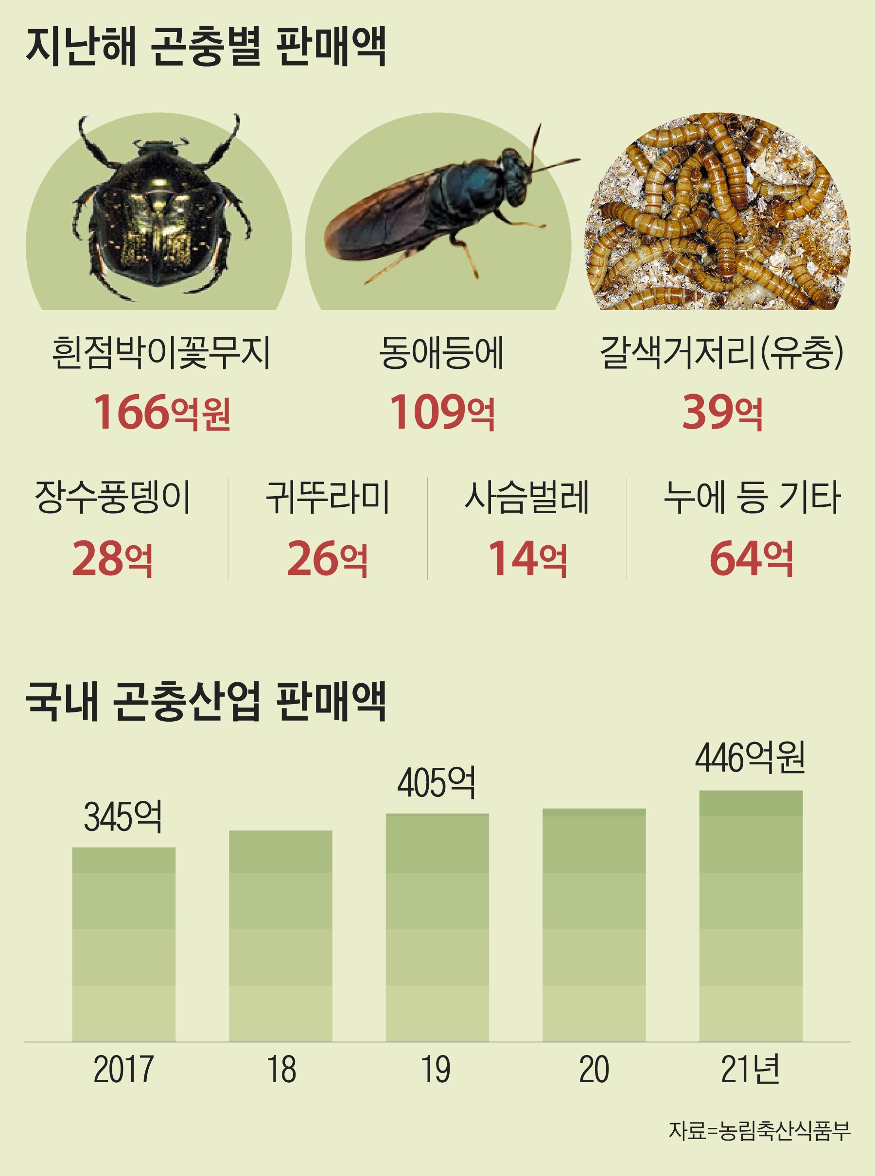 폐기물 처리용·식용… 돈 되는 ‘착한 곤충’