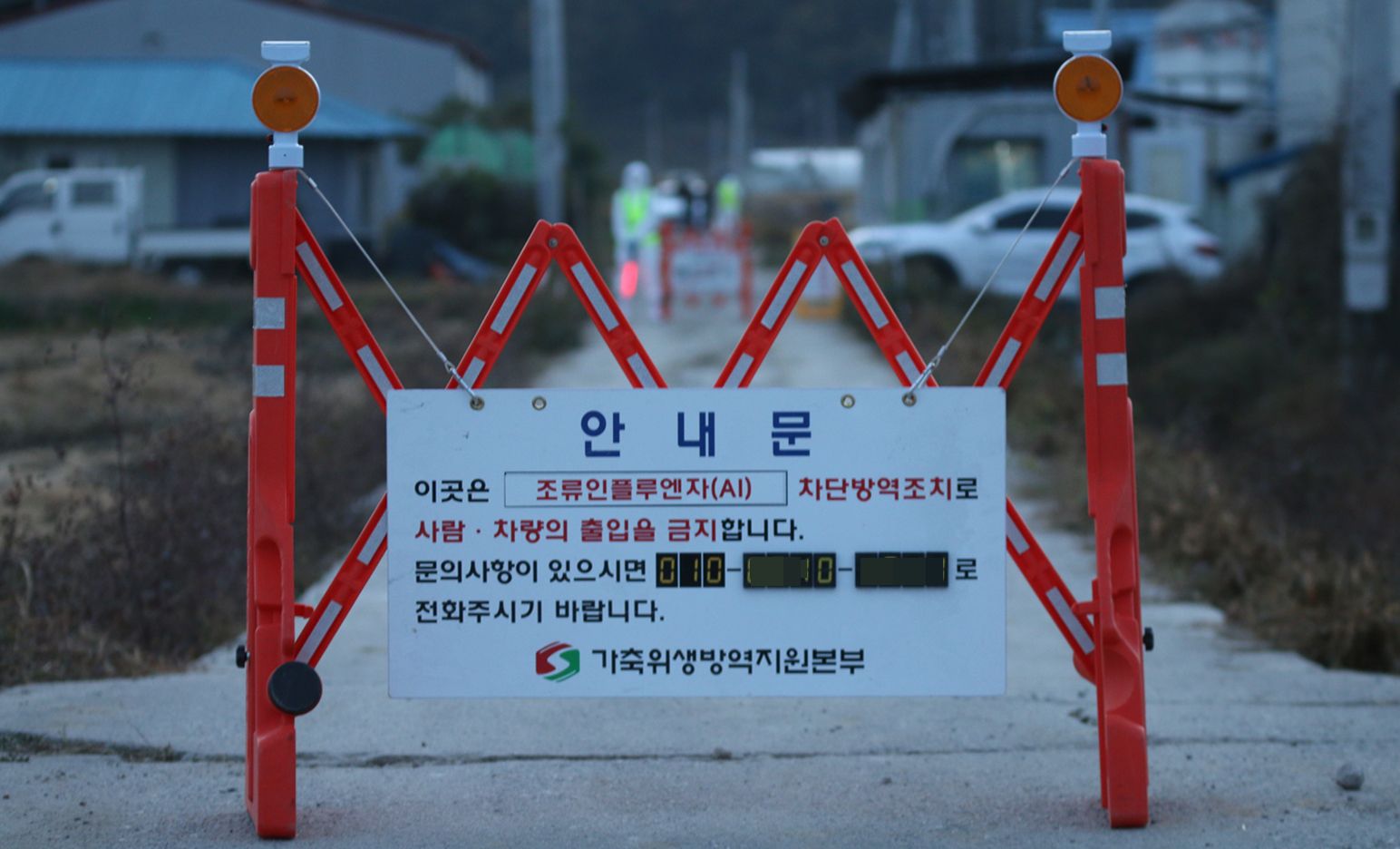 충북 진천 오리 농장서… 올가을 세 번째 고병원성 AI 확진