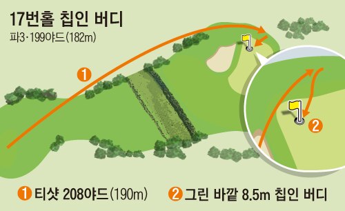 17번홀 8.5m 버디, 17억을 따내다
