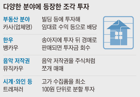 빌딩·한우·와인 이어 경주마도 질주… 조각투자 전성시대