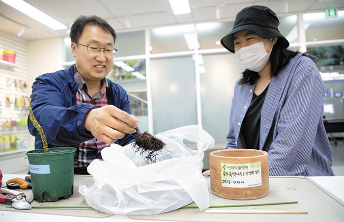 “우리집 나무가 아파요”… 식물병원 문열자 2030 줄선다
