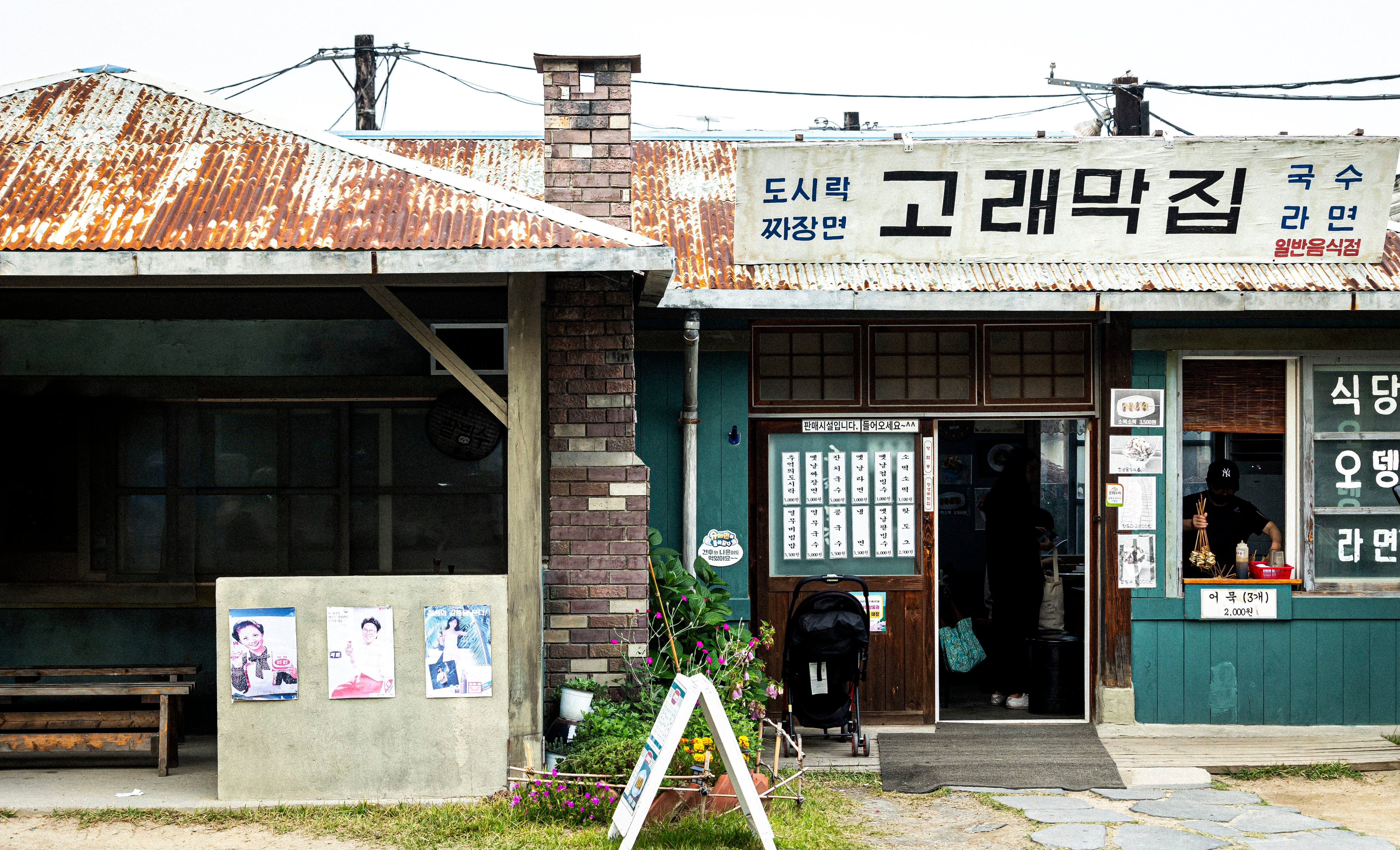 자, 떠나자! 대왕고래 잡으러? 아니, 참돌고래 만나러